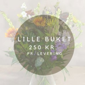 Blomsterabonnement - Gratis levering ved min. 3 leveringer