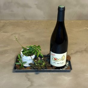Vin arrangement med vin fra Beaujolais