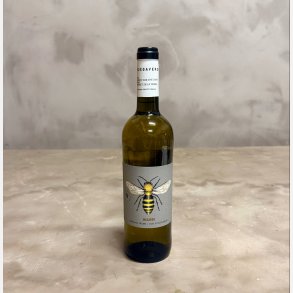 Bodegaverde Bee Macabeo